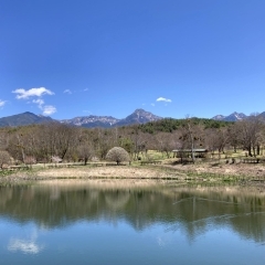 【お花見スポット】原村　八ヶ岳自然文化園