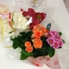 「2013☆今年もよろしくお願い致します(*^^*)」