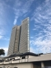 冬の空
