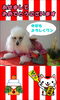 「新年のご挨拶♪」