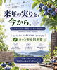 「ブルーベリー剪定セミナー2026を開催します🫐💜」