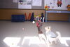 「今日のお友達」