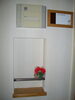 「郵便受けの花！！  高住センター　老人ホーム見学情報　（寝屋川　枚方　交野　守口　門真　大東　四條畷）」