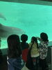 イルカ🐬「外出イベント🐬🦭【札幌市北区篠路　児童発達支援　放課後等デイサービス】」
