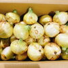 「静岡県産「新たまねぎ　(はるたま)」」
