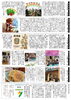 「ゆうゆう新聞2025年8月号」