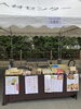 今日だけ出店しています(о´∀`о)「 KADOMA ART FES 2022マルシェ出店しています」
