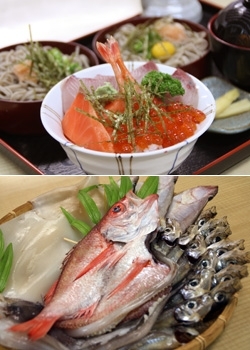 「お食事処 柿谷」季節の海鮮料理と自家製干物の店