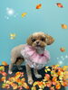 「お友達♡ Dog salon mofu mofu 余市町」