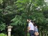 「今日は最良の一日٩(ˊᗜˋ*)و斐川町　仏壇」