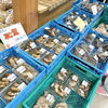 「道の駅木曽福島 農産物直売所 きのこシーズン到来⁈」