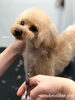 「冬のオプションキャンペーン　^o^」