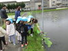 葉っぱの上のお水、ダンスしてるみたいだね♪「お魚つかまえられたかな？パート２」