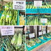 「信州 志賀高原産『桃』入荷しました！道の駅木曽福島」