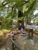 「お客様オススメのことのまま八幡宮に行って来ました⛩️」