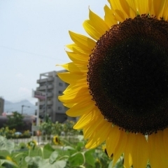 【海田町】人間ドックの申し込みはお早めに（申し込み受け付け中）