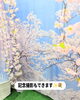 「🌸今週の予約表🌸」