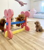 くまくん　いつでも何度でも、ひとりでも跳びます😆「ましゅまろ幼稚園🐾パート２ &サロン予約状況」