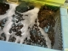 「魚魚市場　年末年始休まず営業します！」