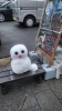 「マスターの手作り作品。」