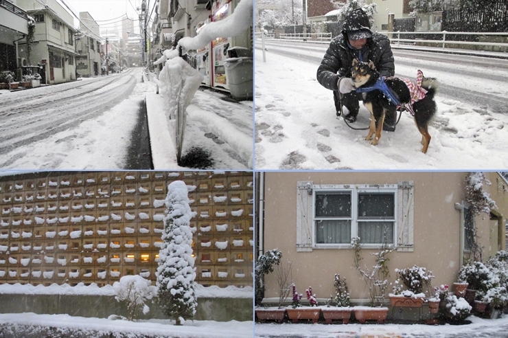 ちょっと散歩に　<br>わんこが　寒いのに辛いよ　って目で訴えてきた　犬はよろこべだよ<br>置き傘か！