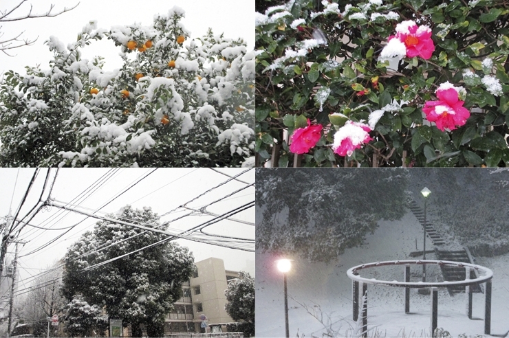 見つけた　ミステリーサークル<br>赤に雪　黄色にも雪　緑にも雪　電線だって雪