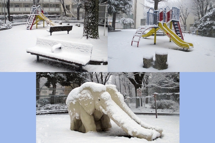 象さんが　雪だぞ?　って　遊具も冷たそー