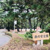 黒松が数千本生い茂る「浜の宮公園・浜宮天神社」に取材にいってまいりました♪♪