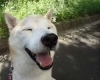 「☆★はじめましてシートン動物病院です★☆」