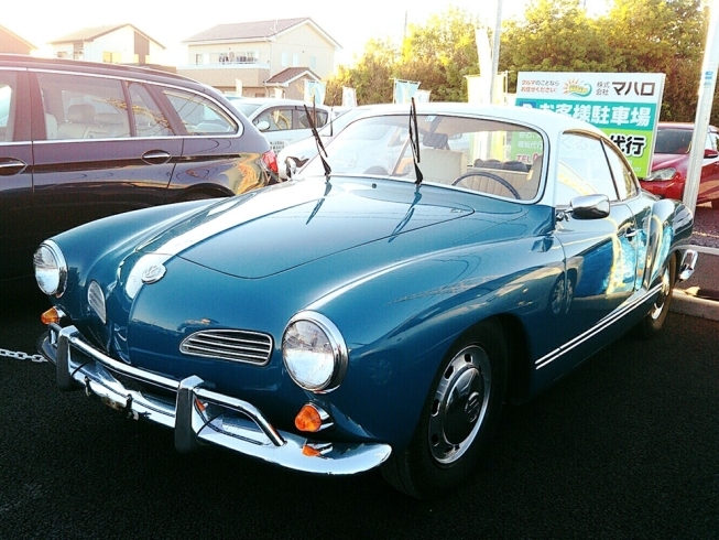 水戸市の中古車販売 株 マハロも一緒に営業中 くるみ代行です くるみ代行のニュース まいぷれ 水戸市 水戸市の中古車販売 株 マハロも一緒に営業中 くるみ代行です くるみ代行のニュース まいぷれ 水戸市