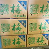 「江刺梅林さんの「梅」始まりました♪ 岩手県奥州市江刺地区　江刺梅林(岩苑)の梅」