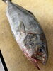 豊かな海の恵みをご堪能あれ 職人が厳選した上質な魚「忘れてました！」
