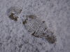 「久々雪が降り出しましたね(^O^)‼️。」
