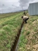 「＊地域清掃実施✴︎地域のお困り事　解決団✴︎」