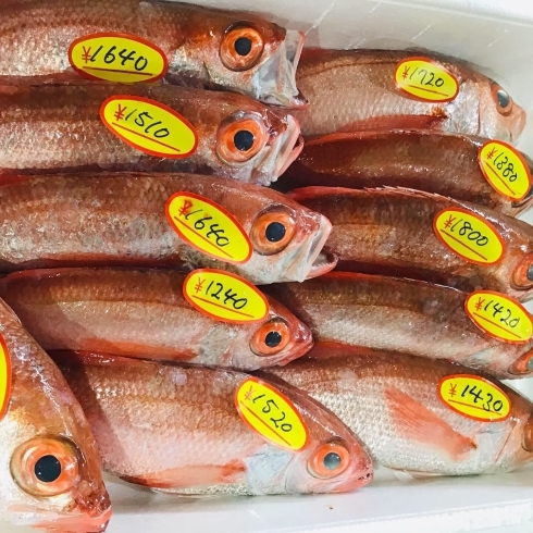 「魚魚市場鮮魚コーナーおすすめは「金目鯛・イサキ・ノドグロ」です♪」