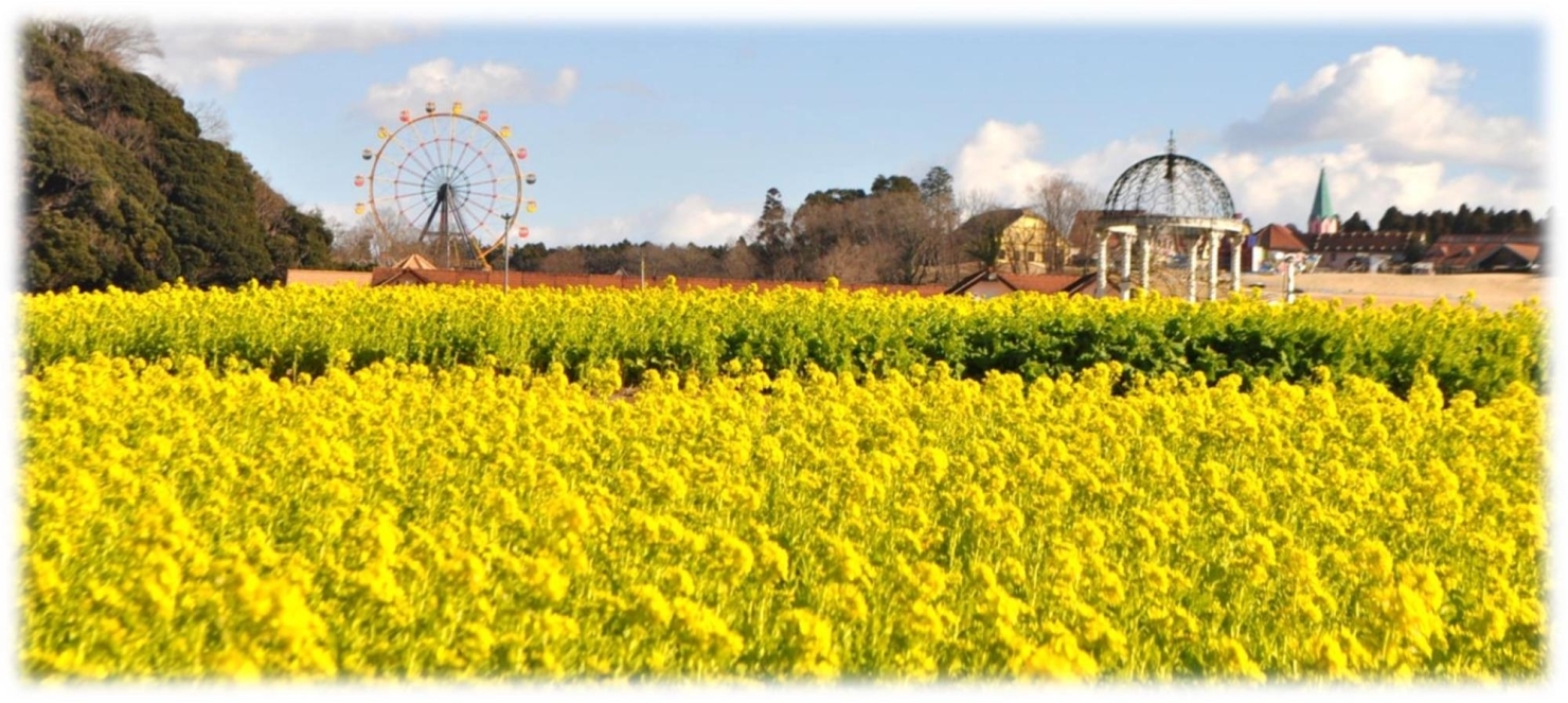 東京ドイツ村 150万本の菜の花が見頃を迎えています 茂原市 長生郡 おでかけ観光情報 まいぷれ 茂原市 長生郡 東京ドイツ村 150万本の菜の花が見頃を迎えています 茂原市 長生郡 おでかけ観光情報 まいぷれ 茂原市 長生郡