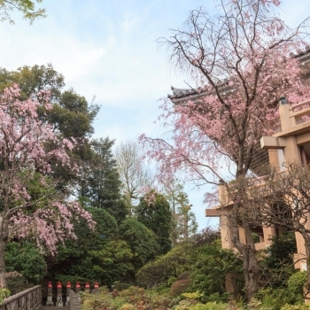 東長谷寺・薬王院 (新宿区下落合)