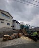 「岡山県笠岡市内　危険木特殊伐採」