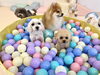 入ってるみんな入浴中みたいだね🛀　笑「ましゅまろ幼稚園🐾」