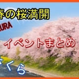 桜・さくら・サクラ特集！2018【御殿場市・裾野市・小山町】