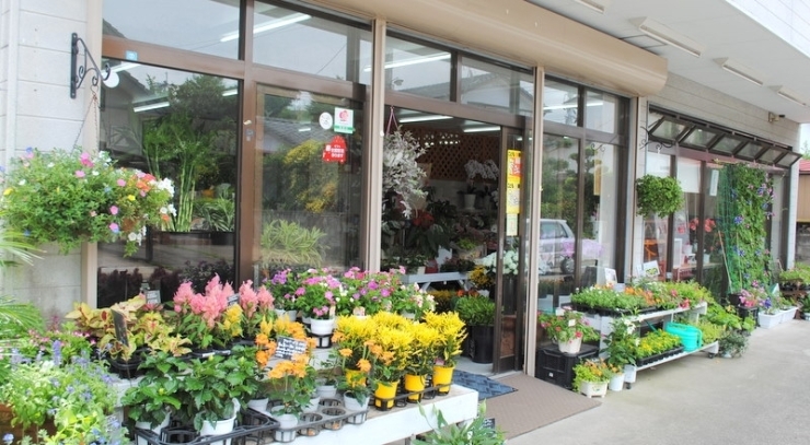 「フラワーショップ 花むすび」花のことならおまかせください！　頼れる花屋「花むすび」