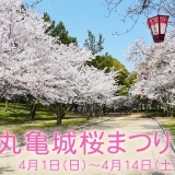 高さ日本一の石垣の名城！丸亀城桜まつり2018