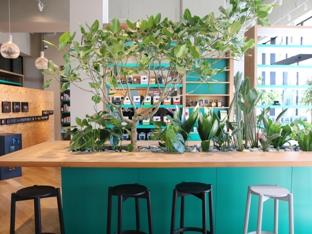 葛西臨海公園 Ff エフエフ New Shop Open 江戸川区 まいぷれ 江戸川区 葛西臨海公園 Ff エフエフ New Shop Open 江戸川区 まいぷれ 江戸川区