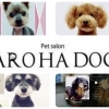 pet salon AROHA DOG(アロハ ドッグ)
