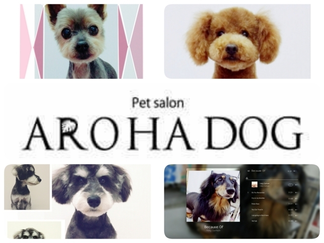 「pet salon AROHA DOG（アロハ ドッグ）」Love＆Health　あなたの大切なワンちゃんのサポーター！