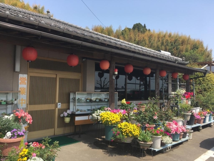 季節の花の手入れが行き届いてます。