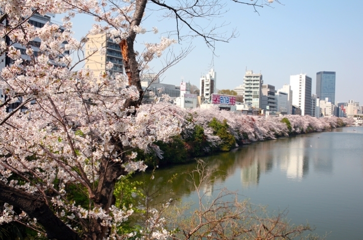 見る位置を　右にずらすと　はい　綺麗でしょ