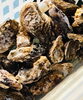 「西海物産館魚魚市場 鮮魚コーナーおすすめ商品は「牡蠣の特売」です！」
