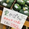 「魚魚市場鮮魚コーナーおすすめは「うちわエビ・オジサン」です♪」
