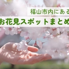 【福山市のお花見情報2024】福山市内にあるオススメ桜・お花見スポットまとめ
